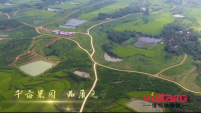 石山湖旗舰店